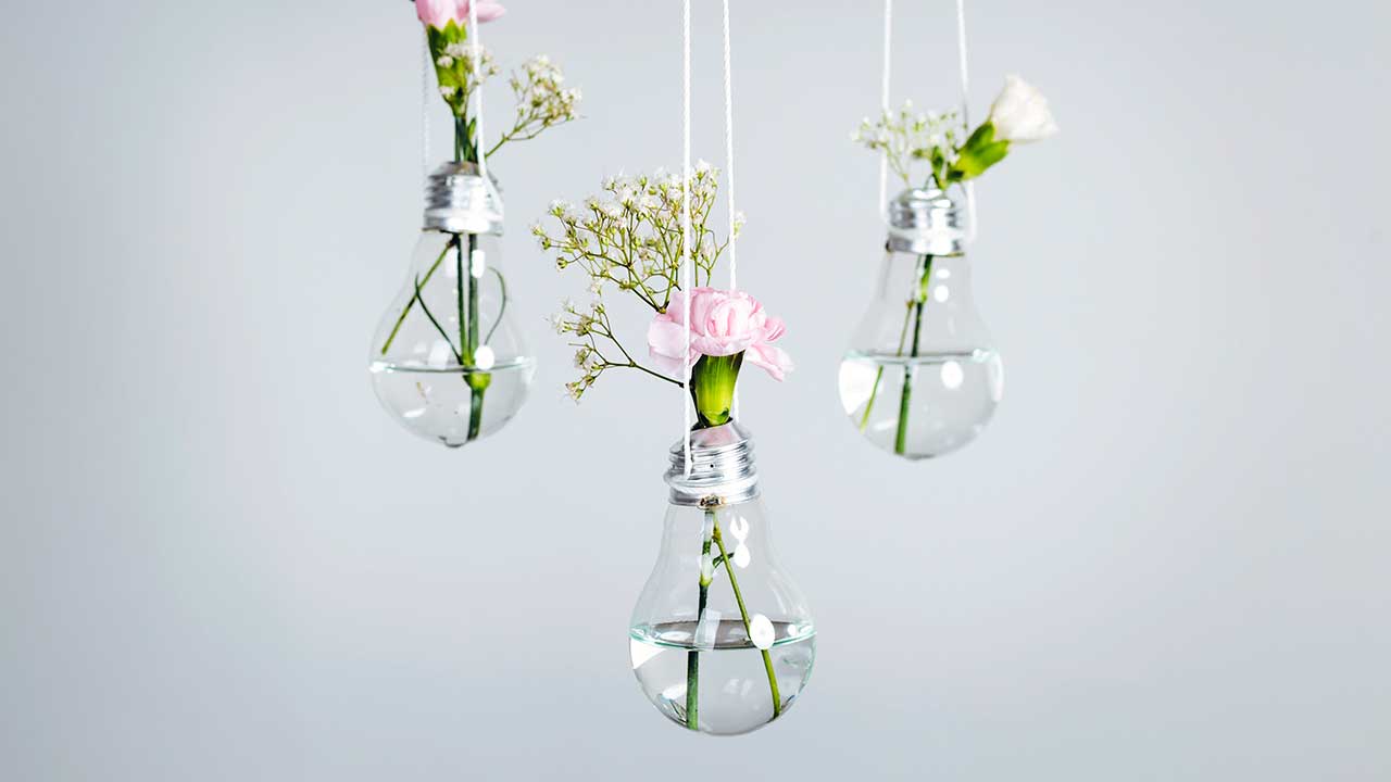 Blumen in aufgehängten Glühbirnen als Kreativität