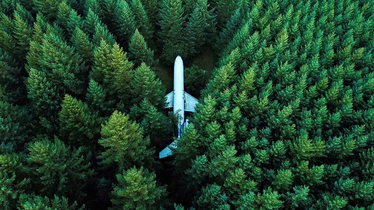 Flugzeug mitten im Wald